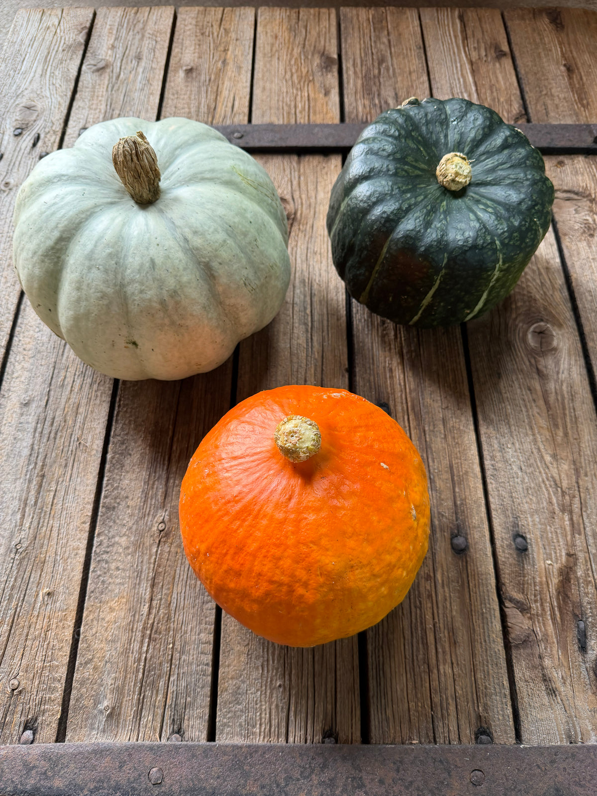 Pumpor